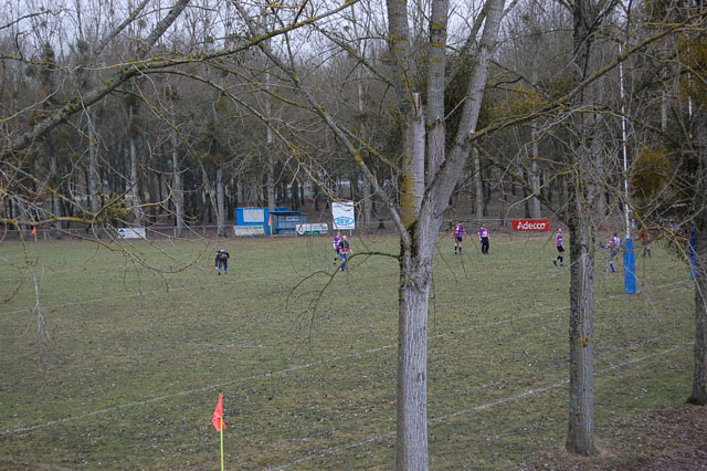 DSC_4846